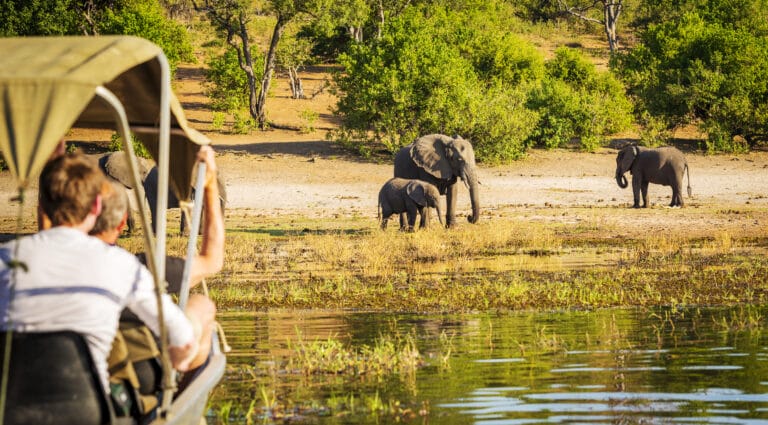 Durch die Nationalparks in Botswana
