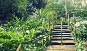 Garden of the Sleeping Giant, Fiji