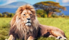 CheckIn:15.08.2016
Valid:31.12.2017
Changed:15.08.2016