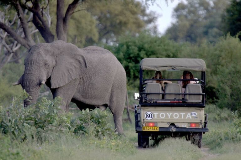 Durch die Nationalparks in Botswana