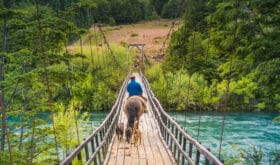 Wooden bridge at Futaleufu, Patagonia -