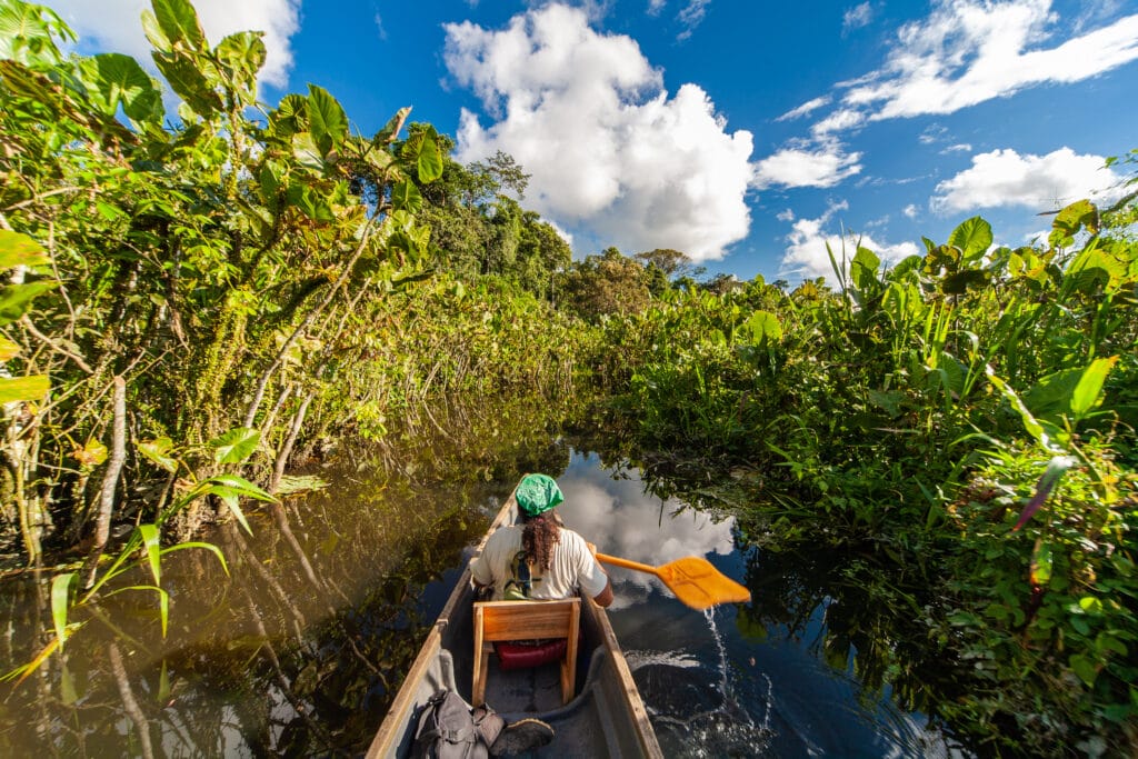 Narrow Waterway, Rio Napo Riverside, Yasuni National Park, Ecuador, South America