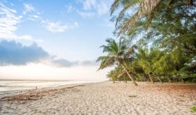 Paradise beach with white sand and palms, Kenya