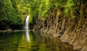 Wainibau Waterfall at the end of Lavena Coastal Walk on Taveuni Island, Fiji. Taveuni is the third largest island in Fiji.