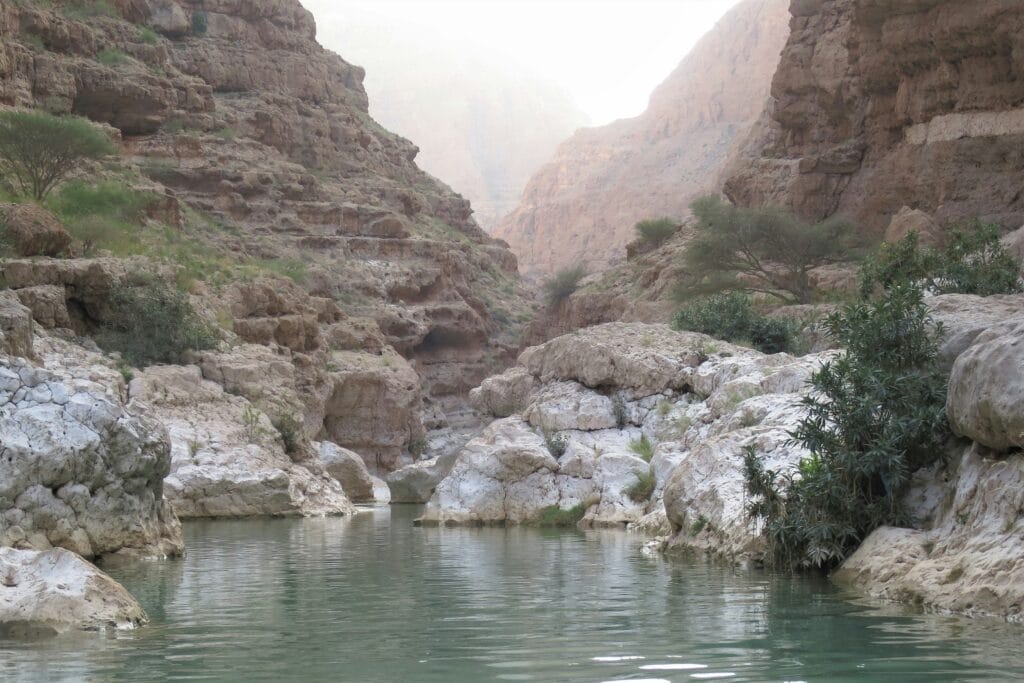 Chris Linnett Wadi Shab