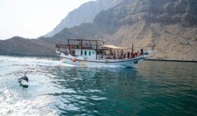 Individuell unterwegs - Freiheit auf vier Rädern